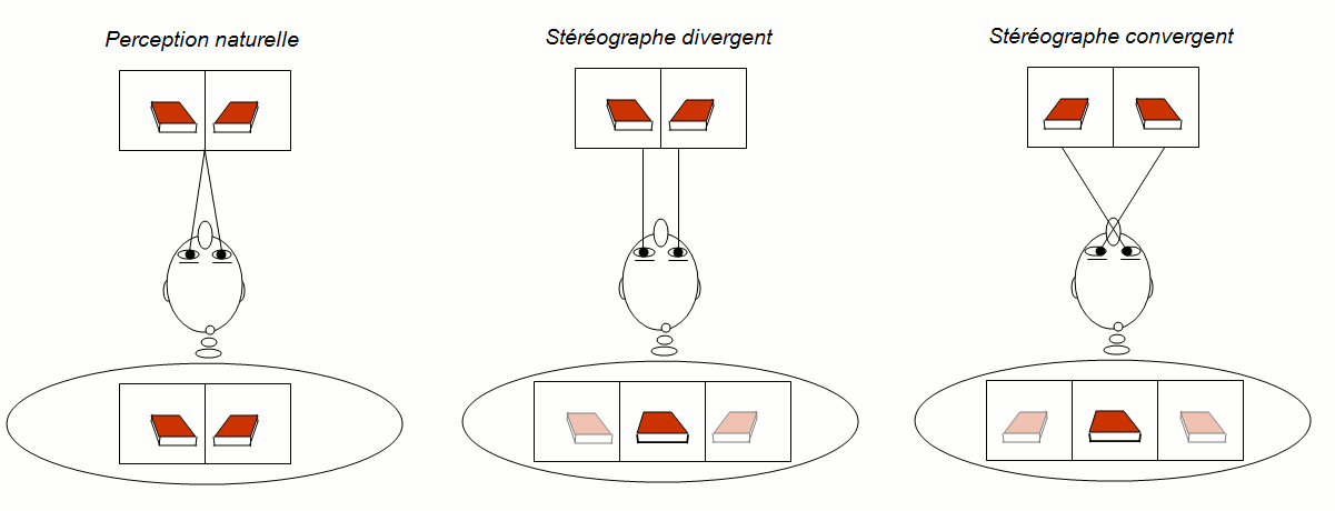 Autostrographe