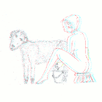Fermire 3D